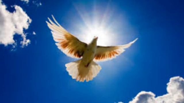 Música de cura - A healing gift to humanity смотреть онлайн