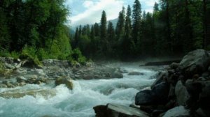 Мы с тобою вдвоём перешли перевал, и теперь нам спускаться с горы... Модест Табачников...