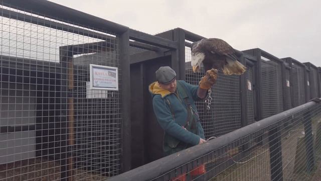 Поехали! Англия, день 5. Графство Кент, Белфаст и Манчестер смотреть онлайн