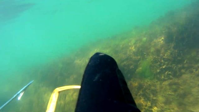 ловля краба руками 4к смотреть онлайн