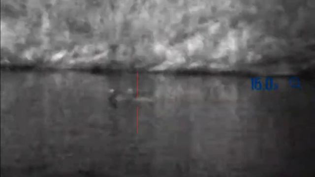 Утки на воде вид в ночной прицел смотреть онлайн