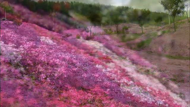 Холм Shibazakura смотреть онлайн