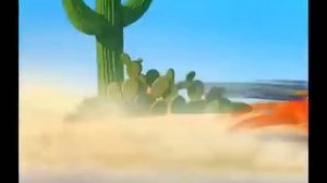 Хитрый койот и дорожный бегун.avi