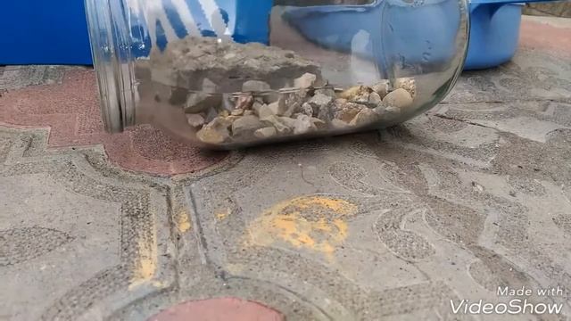 Террариум своими руками.) смотреть онлайн