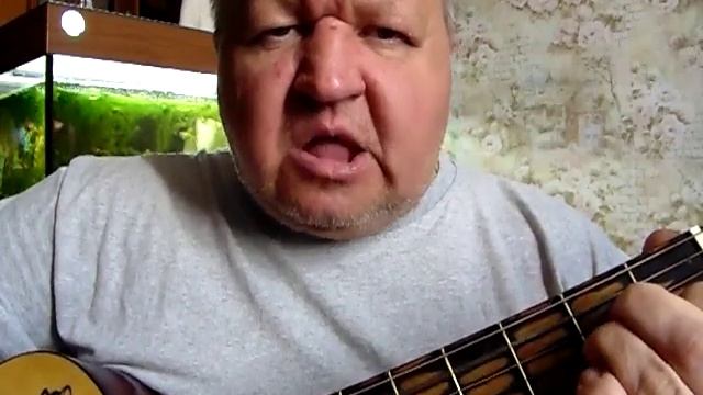 "Звезда по имени Солнце" перебором(кавер) смотреть онлайн