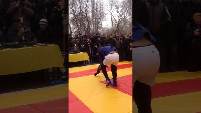 Навруз 2013 гуштинг самара смотреть онлайн