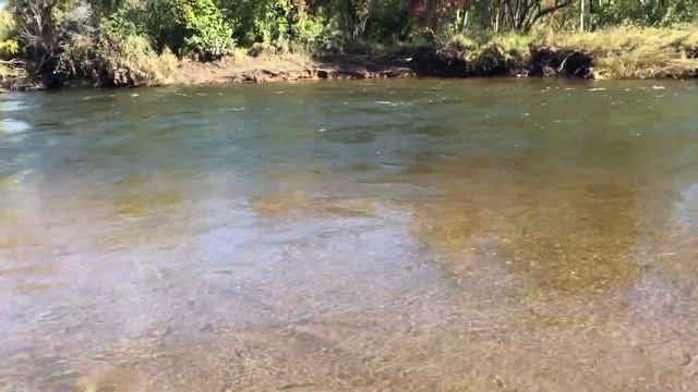 Забродные костюмы. Finntrail Vs  TRAMP. Сравнительный обзор