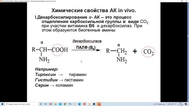 Лекция 4 АК, белки смотреть онлайн