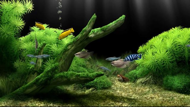 Dream Aquarium Virtual Fishtank #2