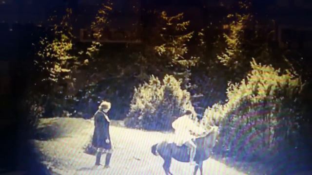 Вампирун Старый пердун часть 1 смотреть онлайн