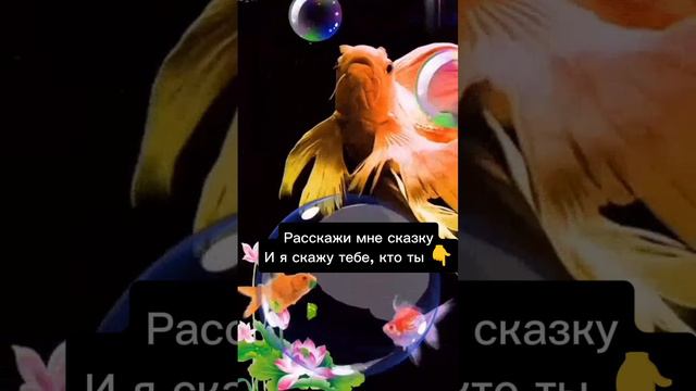 Напиши короткое продолжение сказки о золотой рыбке .mp4 смотреть онлайн