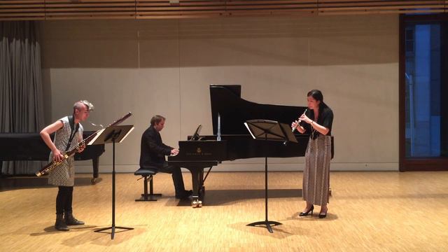 Prokofiev Violin Concerto No.1 Arranged for Oboe, Bassoon and Piano (3rd Mvt) смотреть онлайн