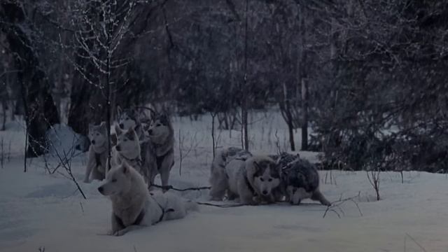 Demir Yürek - 1994 - Türkçe Dublaj Izle