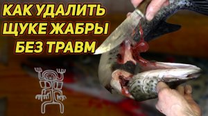 Как удалить щуке жабры и сберечь пальцы. Просто и эффективно English translation ⬇
