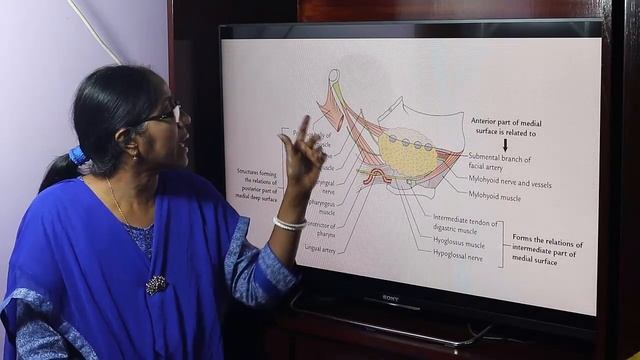 Lecture On Submandibular Region смотреть онлайн