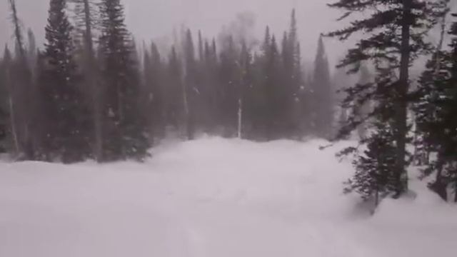 В Шерегеше снега нет!!! (02.12.16) смотреть онлайн