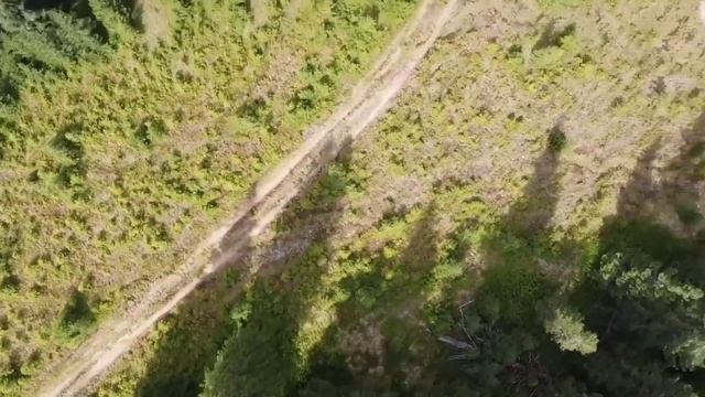 ОКЕАН ЕЛЬЗИ & KOLA - КОЛИ МИ ДВОЄ. смотреть онлайн