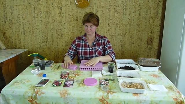 Как ПРАВИЛЬНО посадить семена для МАКСИМАЛЬНОЙ всхожести. Часть 2 смотреть онлайн