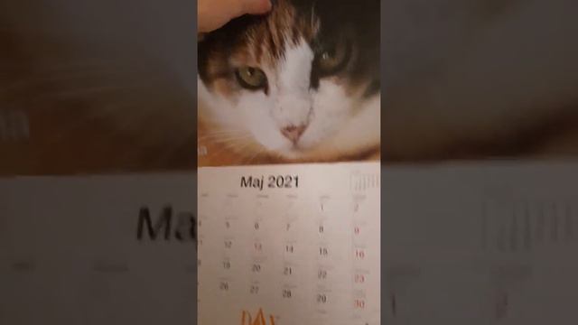 Flip calendar from Apr to May смотреть онлайн