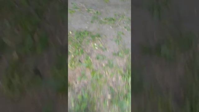 Перепрятал закладку. Что такое жизнь бандита во время каронавируса. смотреть онлайн