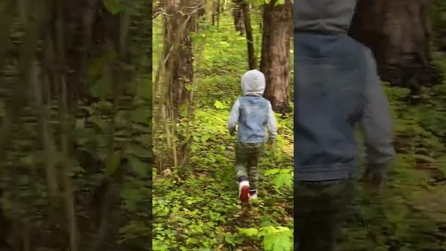 Летучая белка ? смотреть онлайн