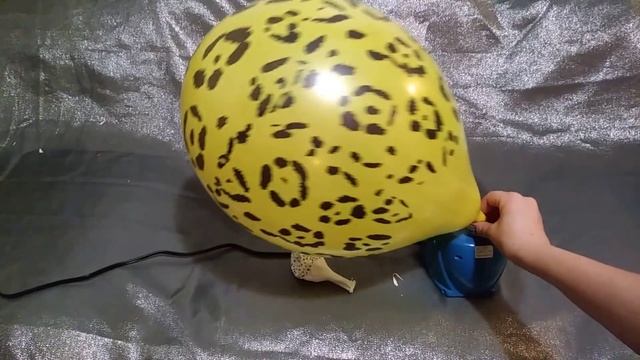 Animal print balloons pop! смотреть онлайн