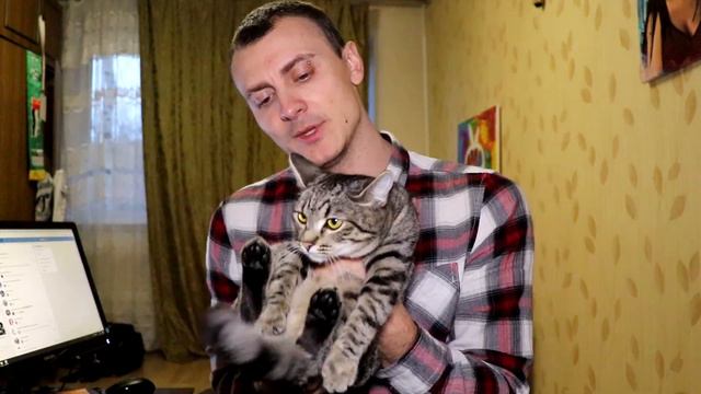 Инструкция по применению: кот 🙀 смотреть онлайн