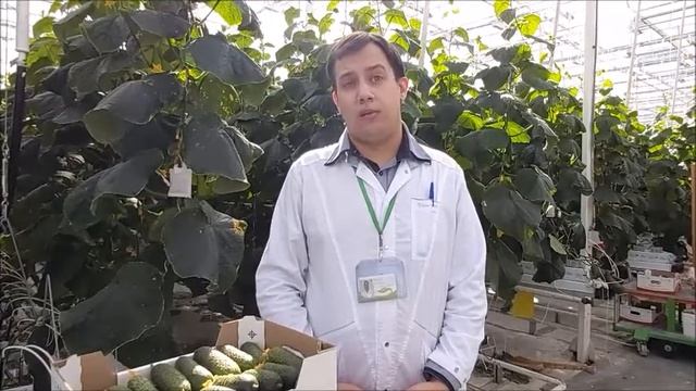 Тимирязевка глазами Даниила Федорова смотреть онлайн