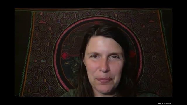 Earth Building with Verena Maeder: Presentation Part 2 (Q&A) смотреть онлайн