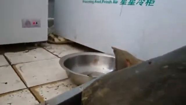 Это страх смотреть онлайн