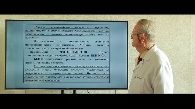 Тема: Водоросли - ALGAE, Синезелённые, Зелённые и Жёлтые водоросли смотреть онлайн