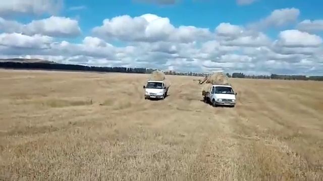 газель, возим сено. рулоны смотреть онлайн