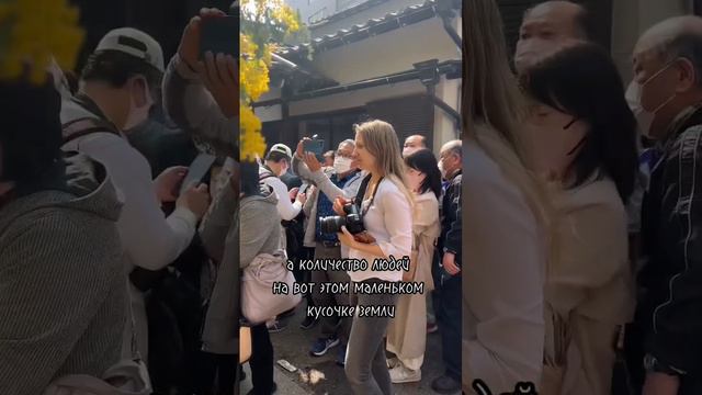 Фотосессия не для слабонервных 🇯🇵😅 #япония #токио #путешествия #деньизжизни #фотосессия #фото смотреть онлайн