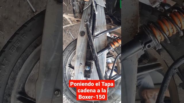 Como el tapa cadela a la Boxer 150cc смотреть онлайн