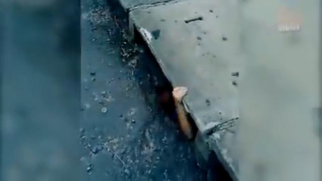 Прикол белые кораблики, из Оно смотреть онлайн