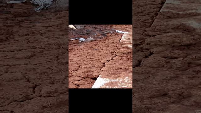 Типичное начало стройки. смотреть онлайн