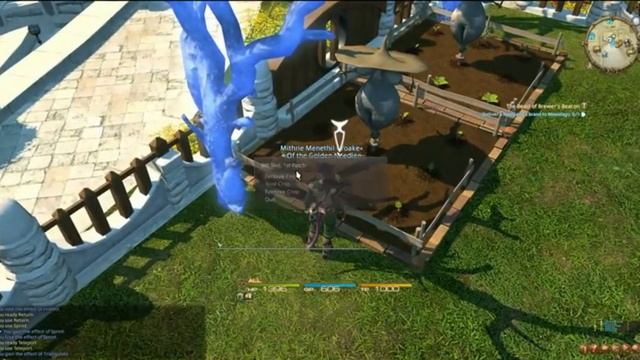 FFXIV:ARR Chocobo Dyeing Guide смотреть онлайн