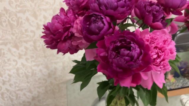 ВЛОГ/С ДНЁМ РОЖДЕНИЯ МЕНЯ! смотреть онлайн