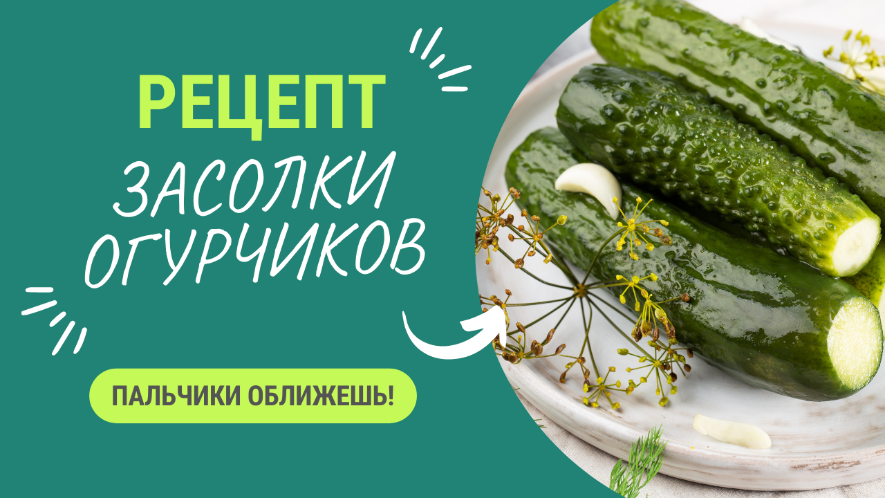 РЕЦЕПТ ЗАСОЛКИ ИДЕАЛЬНЫХ ОГУРЧИКОВ! смотреть онлайн
