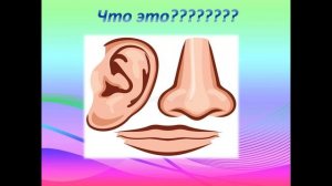 Каникулы онлайн. В мире интересного. Фразеологизмы.mp4