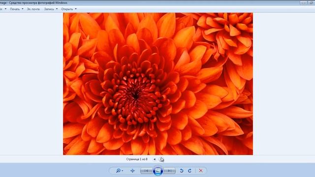 Файл tif чем открыть? tiff формат изображения смотреть онлайн
