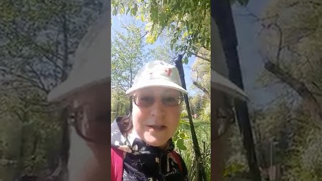 Клуб Активного Долголетия "Вместе Весело Шагать!"-Всемирный День СХ-Кратовское озеро-22.05.2022 смотреть онлайн