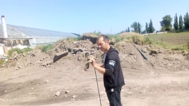 Змеелов... Степной полос ( желтобрюх ) смотреть онлайн