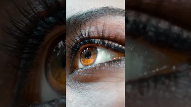 Loladan yangi video | Лоладан янги видео 2024 смотреть онлайн