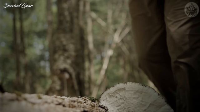 Top 10 Best Tactical & Survival Tomahawk Axe 2022 смотреть онлайн
