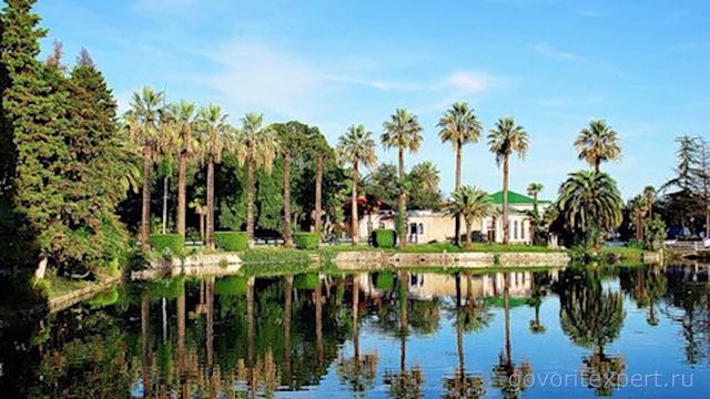 В какие страны можно поехать без визы? Говорит ЭКСПЕРТ смотреть онлайн