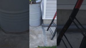 Как избавиться от пчёл в деревянном доме на даче