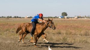 Скачки на лошадях и верблюдах, Астраханская область
