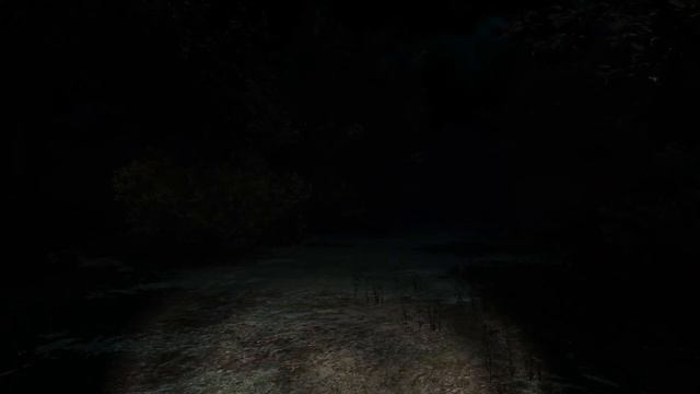 КТО ЗДЕСЬ? Passing Pineview Forest смотреть онлайн