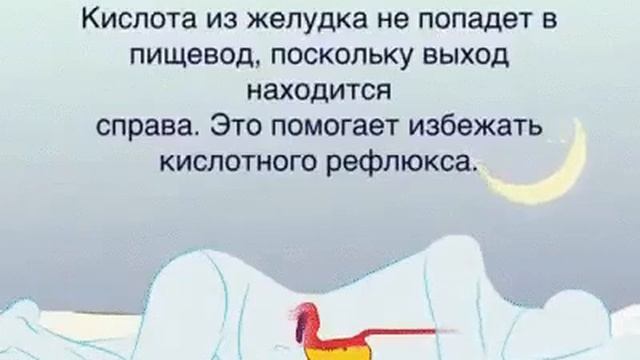 В какой позе правильно спать смотреть онлайн